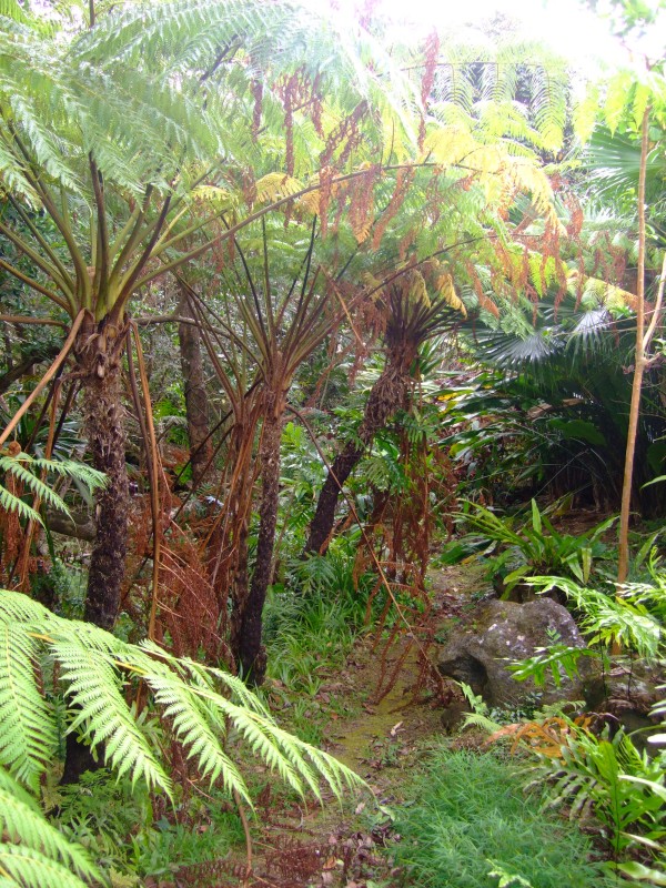 Mauritius 2010 - 0280 